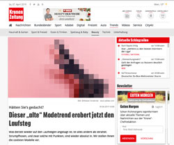 Screenshot Kronen Zeitung